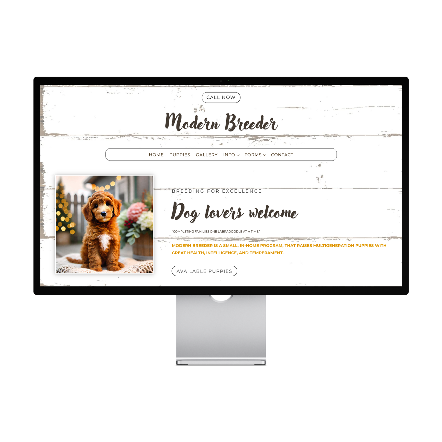Modern Rustic Template — preview 1 of 4